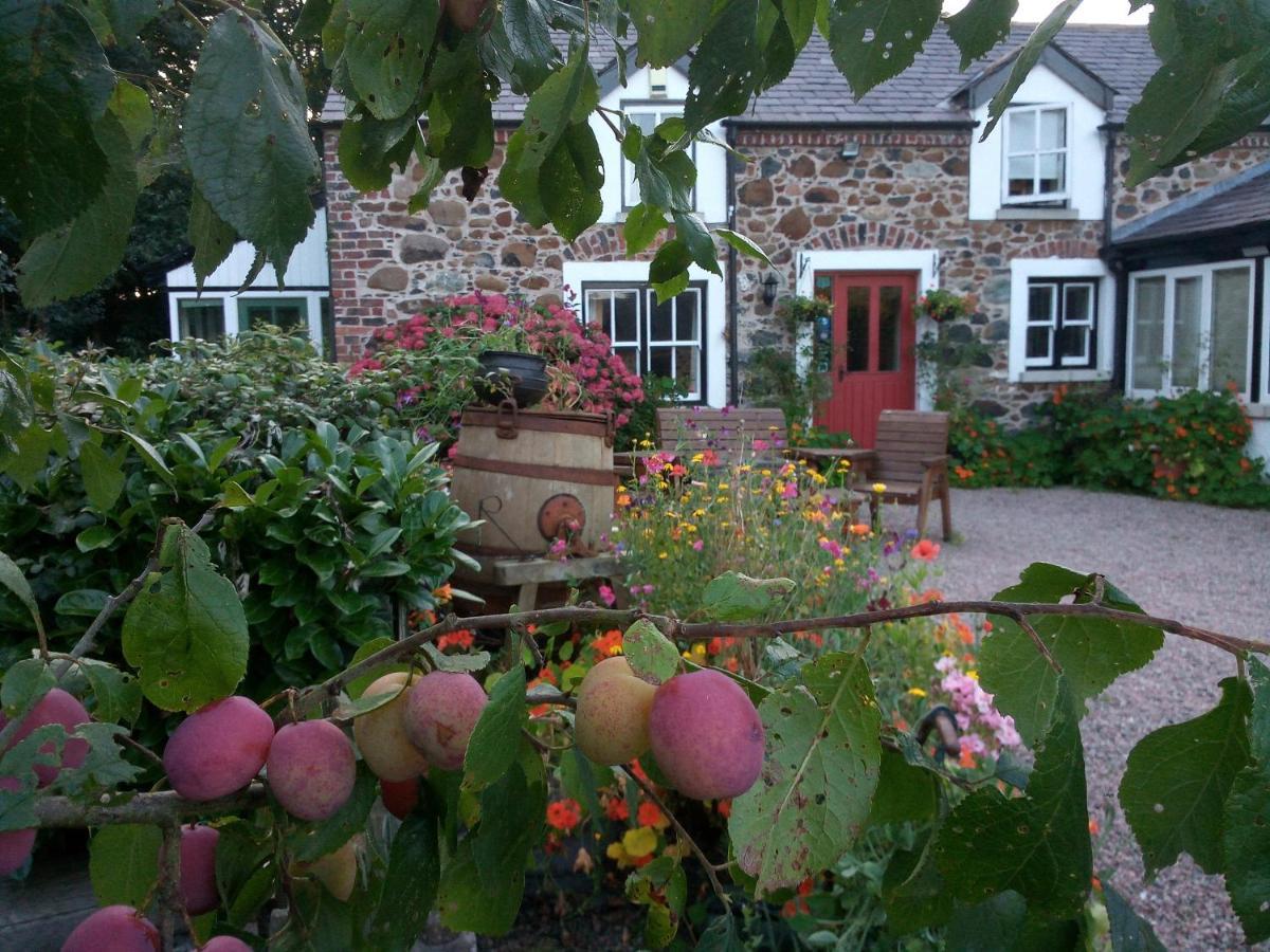 Berwick Hall Cottage Moira  Экстерьер фото